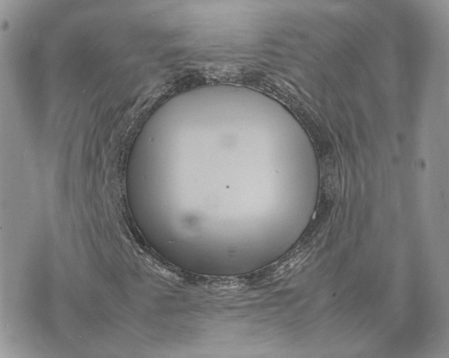 X0000075381345200609291541