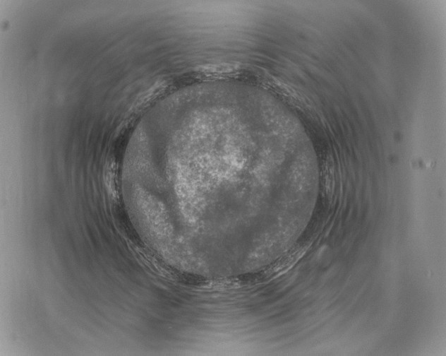 X0000075381346200609291541