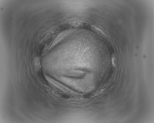 X0000075381347200609291541