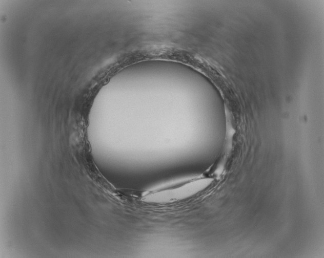 X0000075381349200609291541