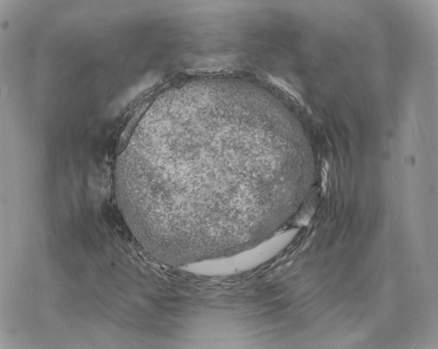 X0000075381350200609291541