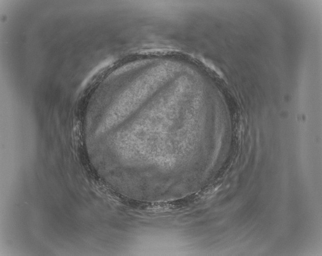 X0000075381351200609291541