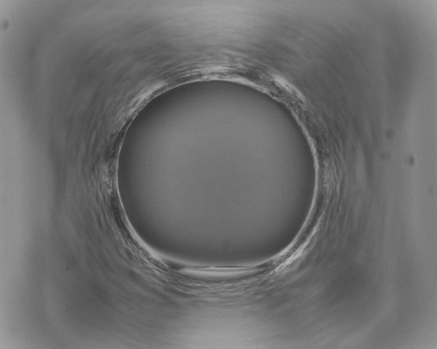 X0000075381353200609291540