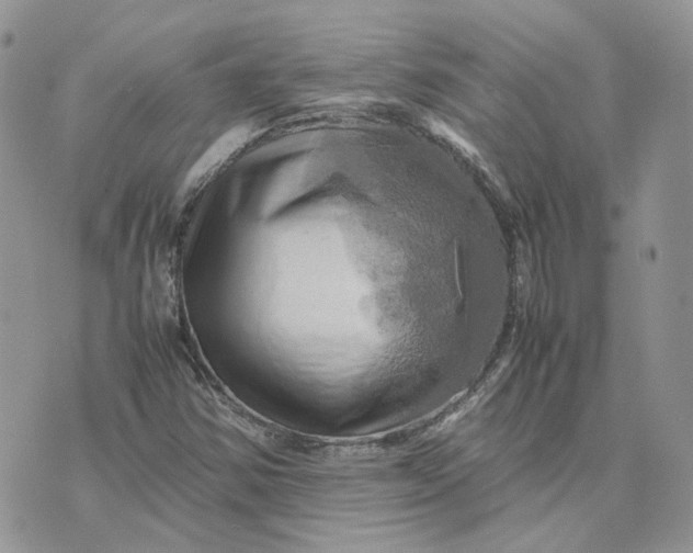 X0000075381354200609291540