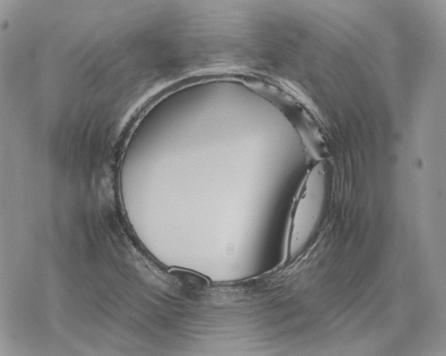 X0000075381356200609291540