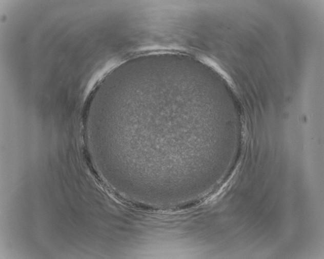 X0000075381357200609291540