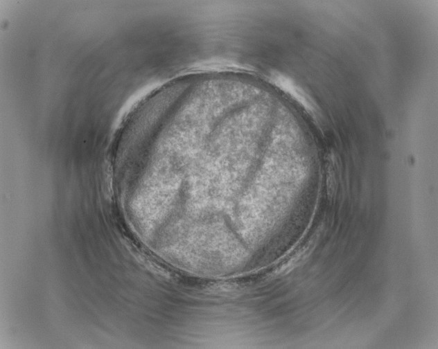 X0000075381358200609291540