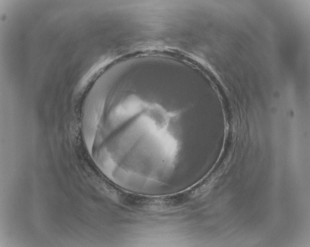 X0000075381359200609291540