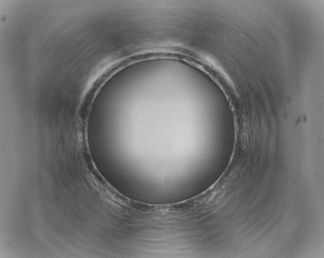 X0000075381360200609291540