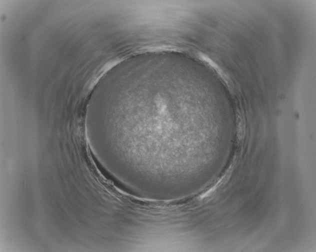 X0000075381361200609291540