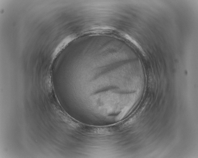 X0000075381362200609291540