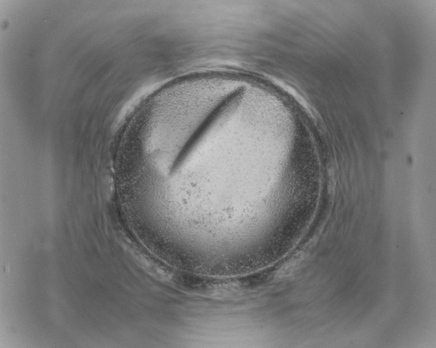 X0000075381363200609291540