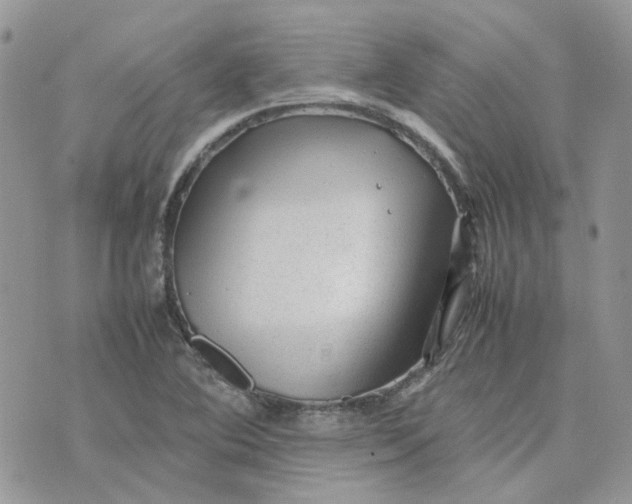 X0000075381364200609291540