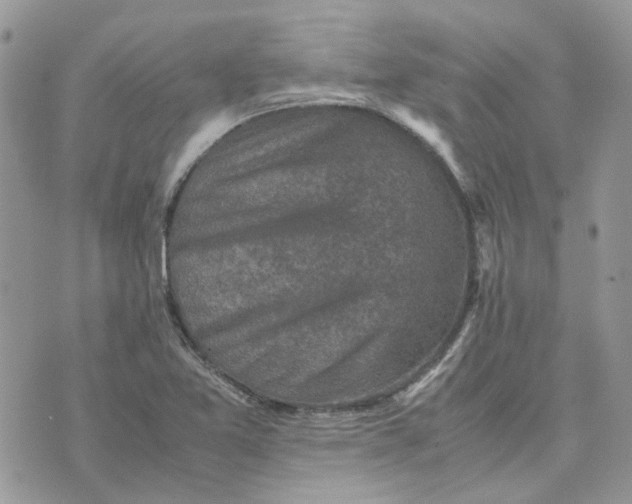 X0000075381365200609291540