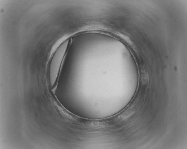 X0000075381366200609291540