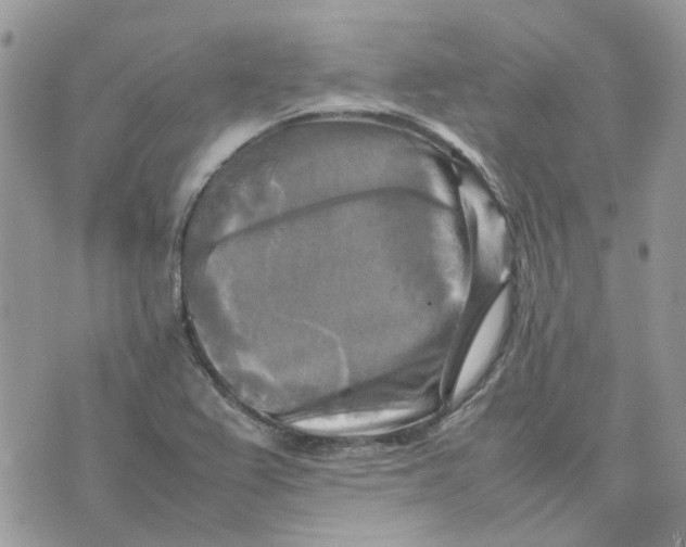 X0000075381367200609291540