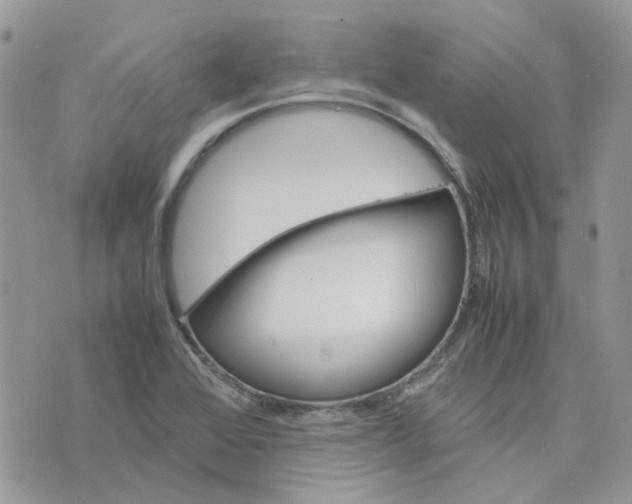 X0000075381368200609291540