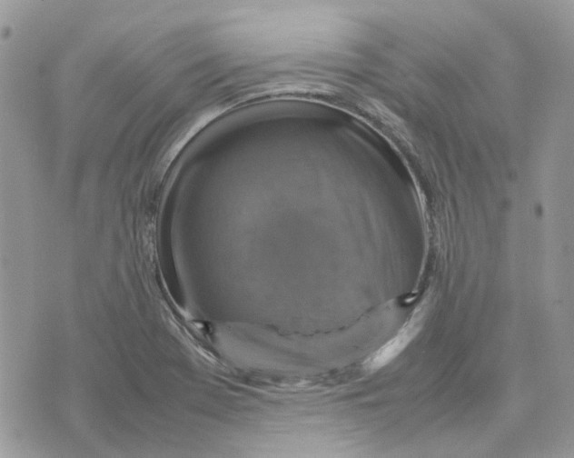 X0000075381369200609291540