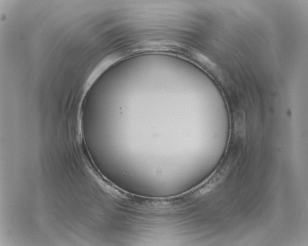 X0000075381370200609291540