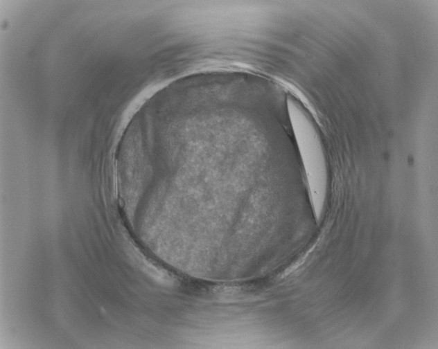 X0000075381371200609291540