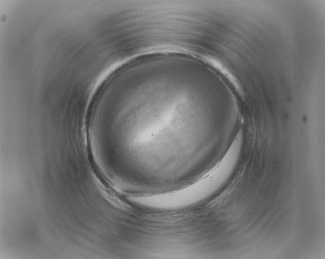 X0000075381372200609291540