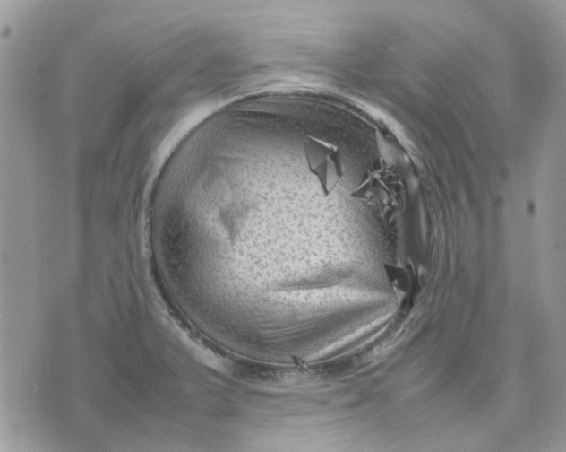 X0000075381375200609291540