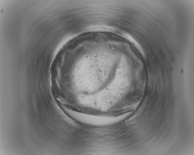 X0000075381376200609291540