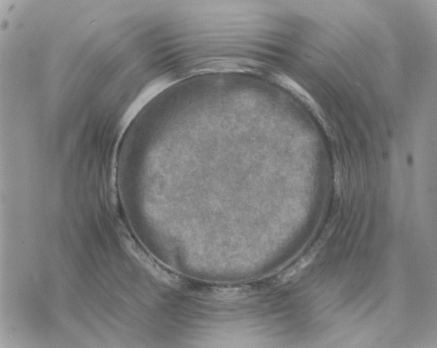 X0000075381378200609291540