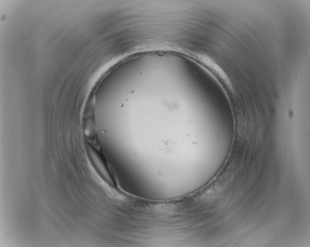 X0000075381380200609291540