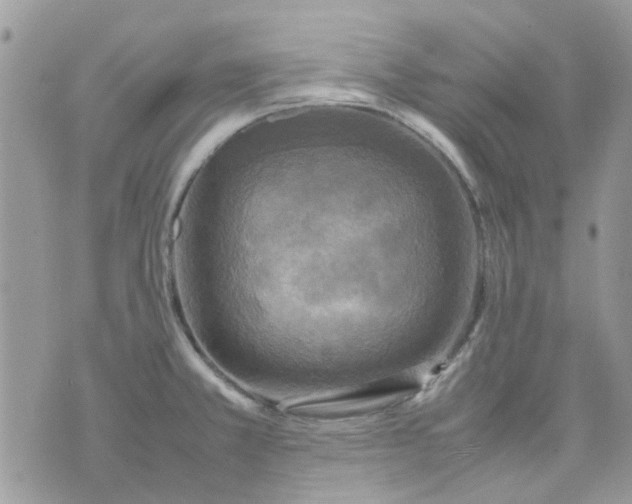 X0000075381381200609291540