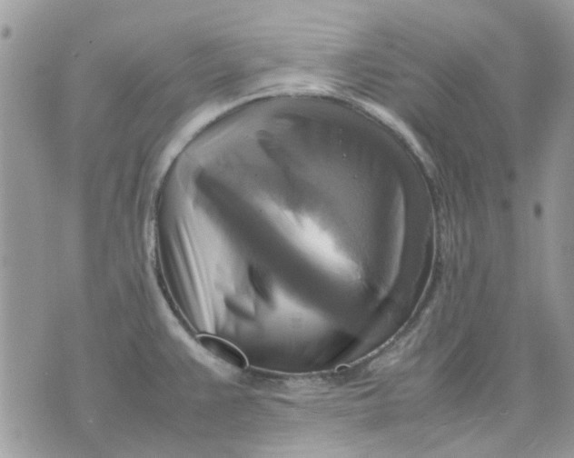 X0000075381383200609291540