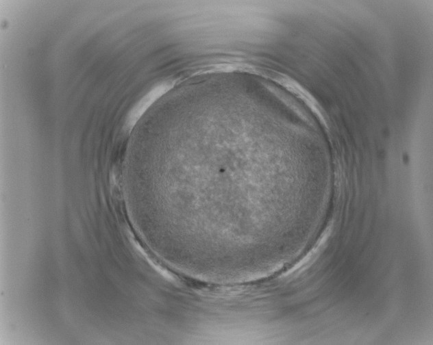 X0000075381385200609291540