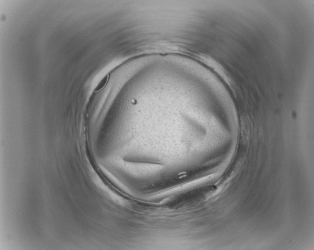 X0000075381387200609291540