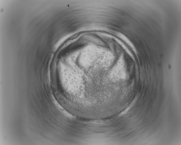 X0000075381388200609291540