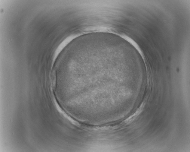 X0000075381389200609291540