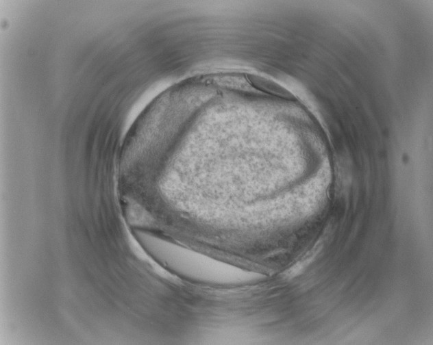 X0000075381390200609291540