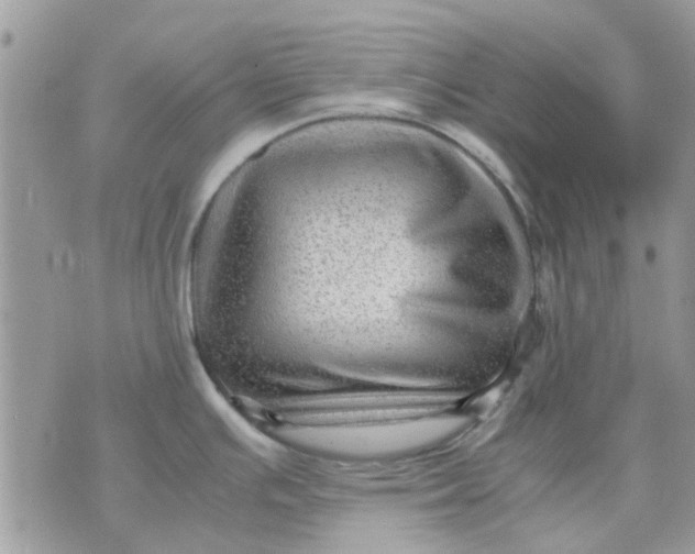 X0000075381391200609291540