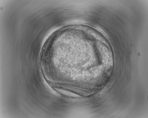 X0000075381392200609291540