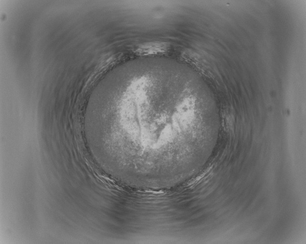 X0000075381393200609291539