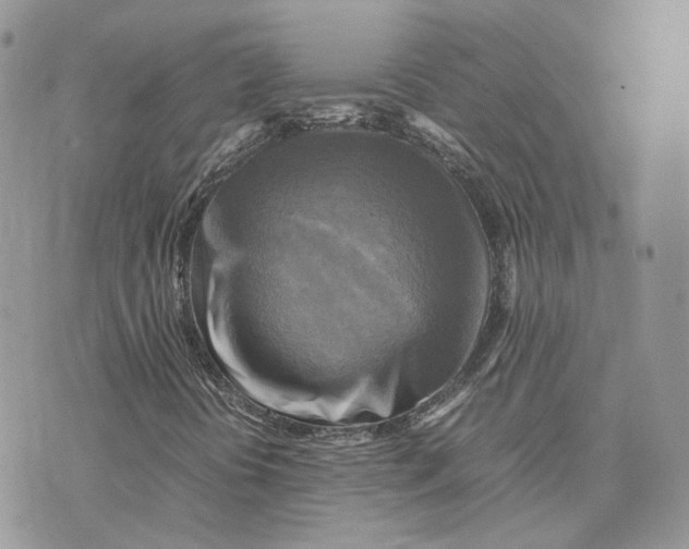 X0000075381394200609291539