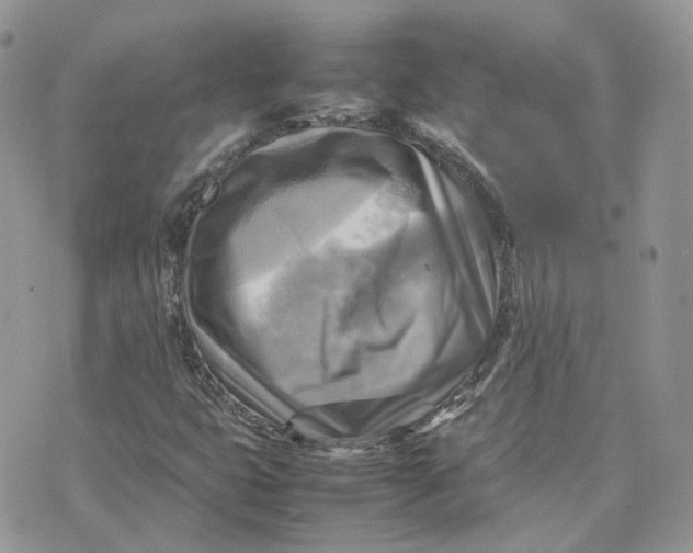 X0000075381399200609291539