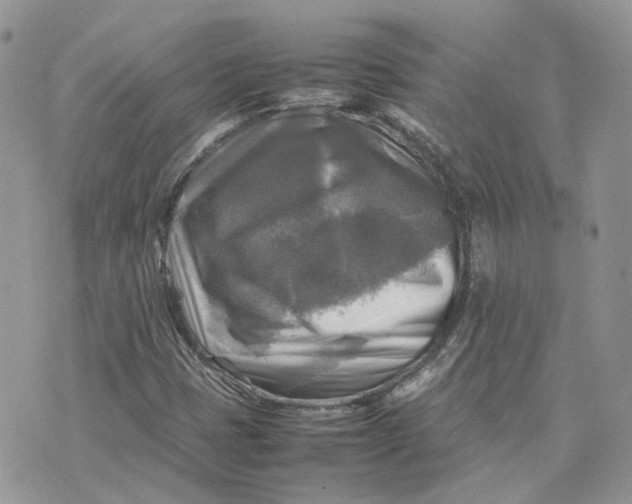 X0000075381401200609291539