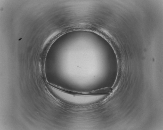 X0000075381402200609291539