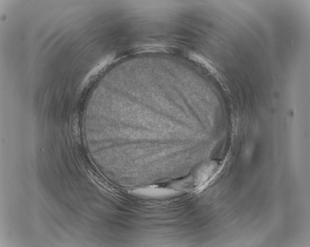 X0000075381403200609291539