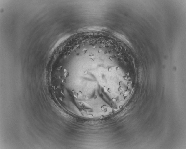 X0000075381404200609291539