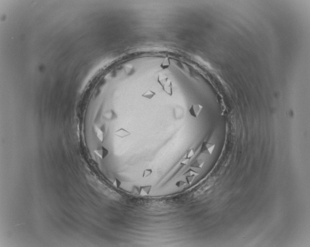 X0000075381408200609291539