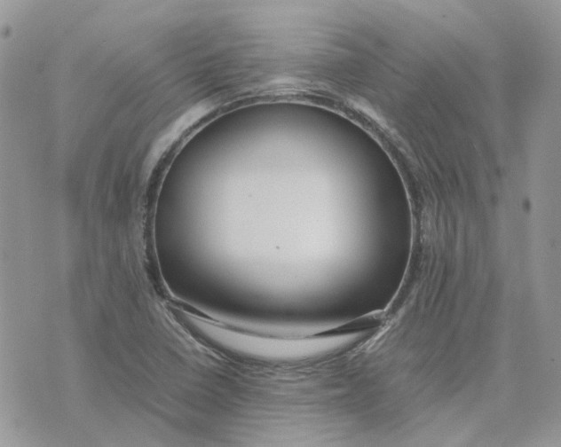 X0000075381410200609291539