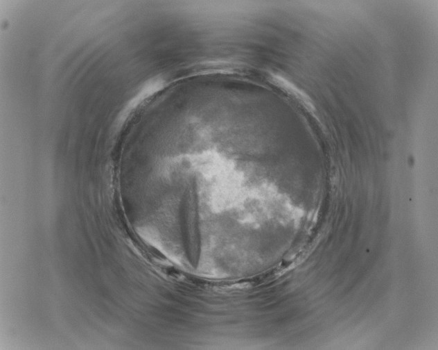 X0000075381411200609291539