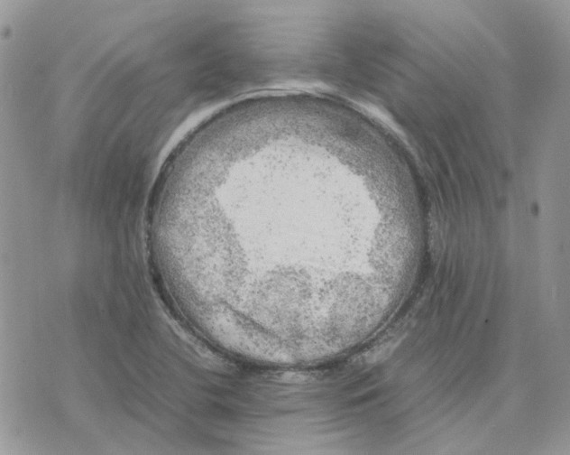 X0000075381412200609291539