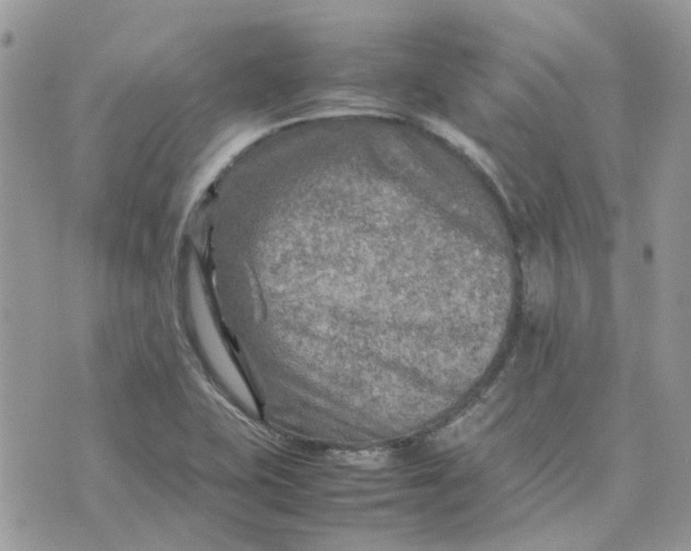 X0000075381415200609291539